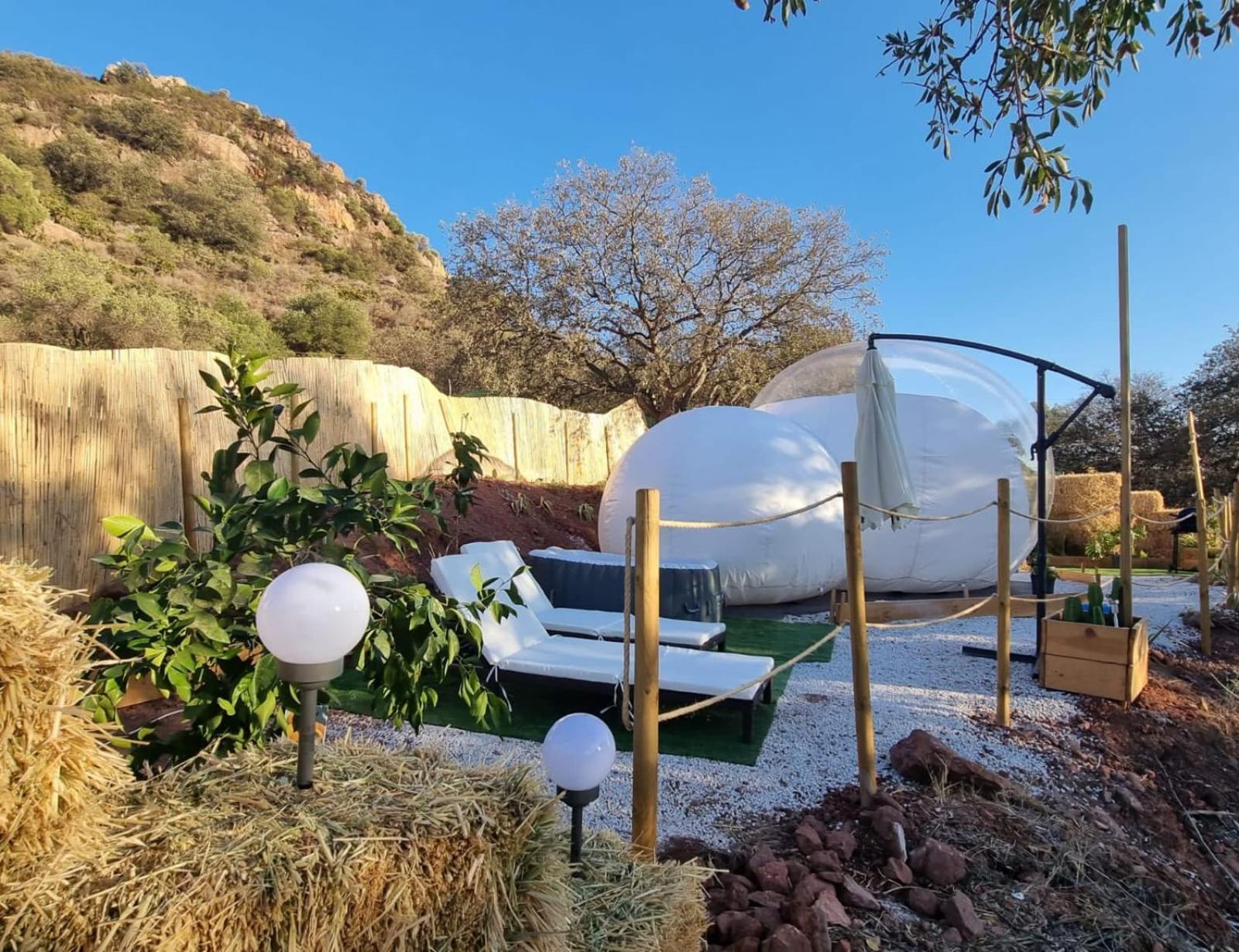 Luxuszelt Glamping Burbuja Almendros *